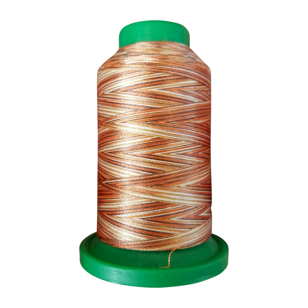 Fil Isacord 40 Multi 1000m multicolore